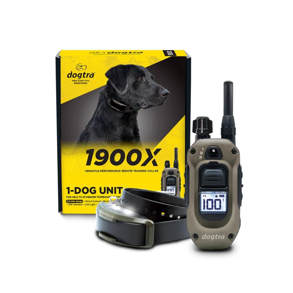 Waterproof Rechargeable Dog Training E-Collar A209
