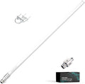 915 MHz Omni-Directional Antenna 43.3in with Lightning Arrestor C711357