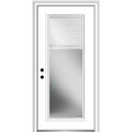 Steel Primed Right-Hand Inswing Full Lite Prehung Front Door 36" x 80" J487183