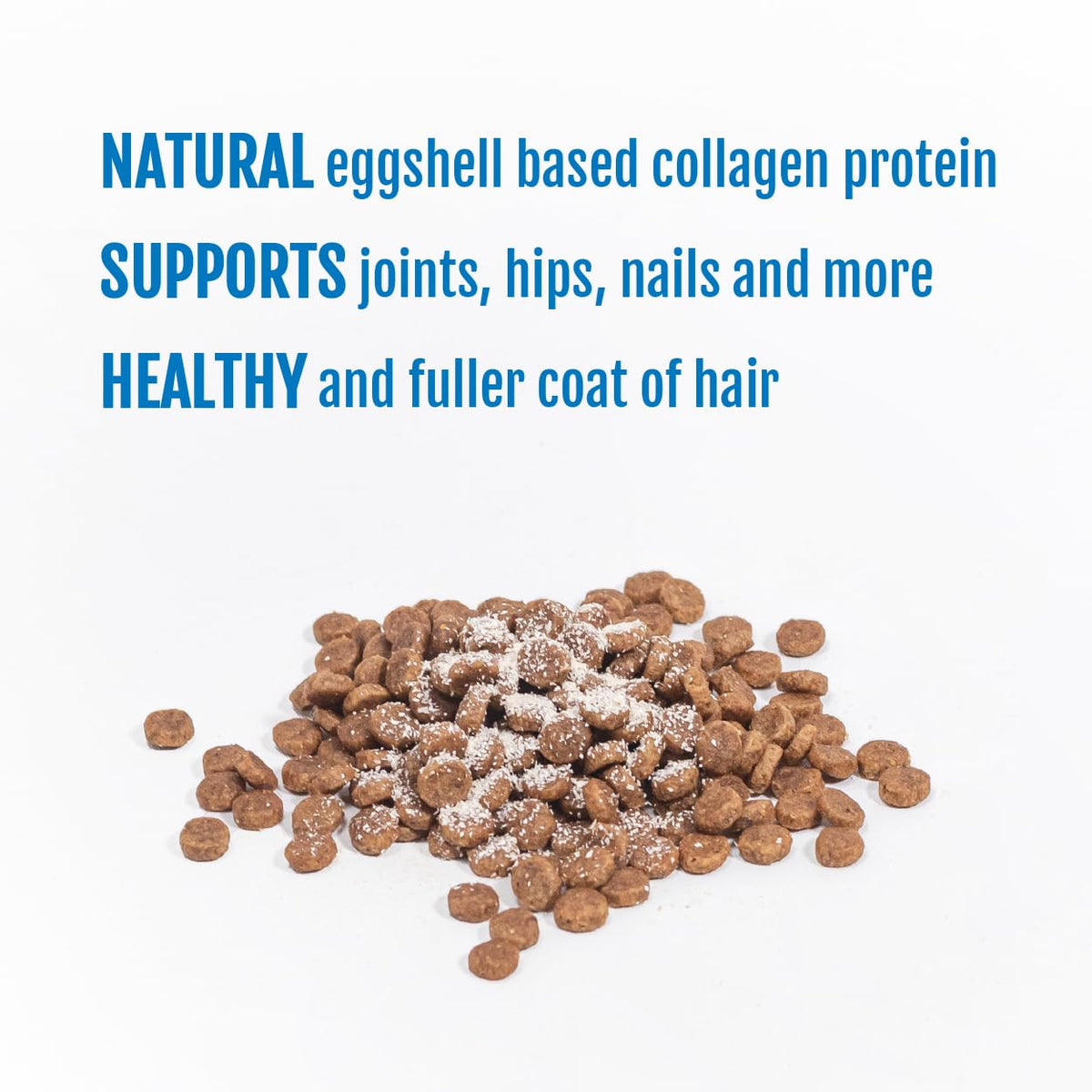 Eggshell Membrane Collagen Powder for Dogs A45557