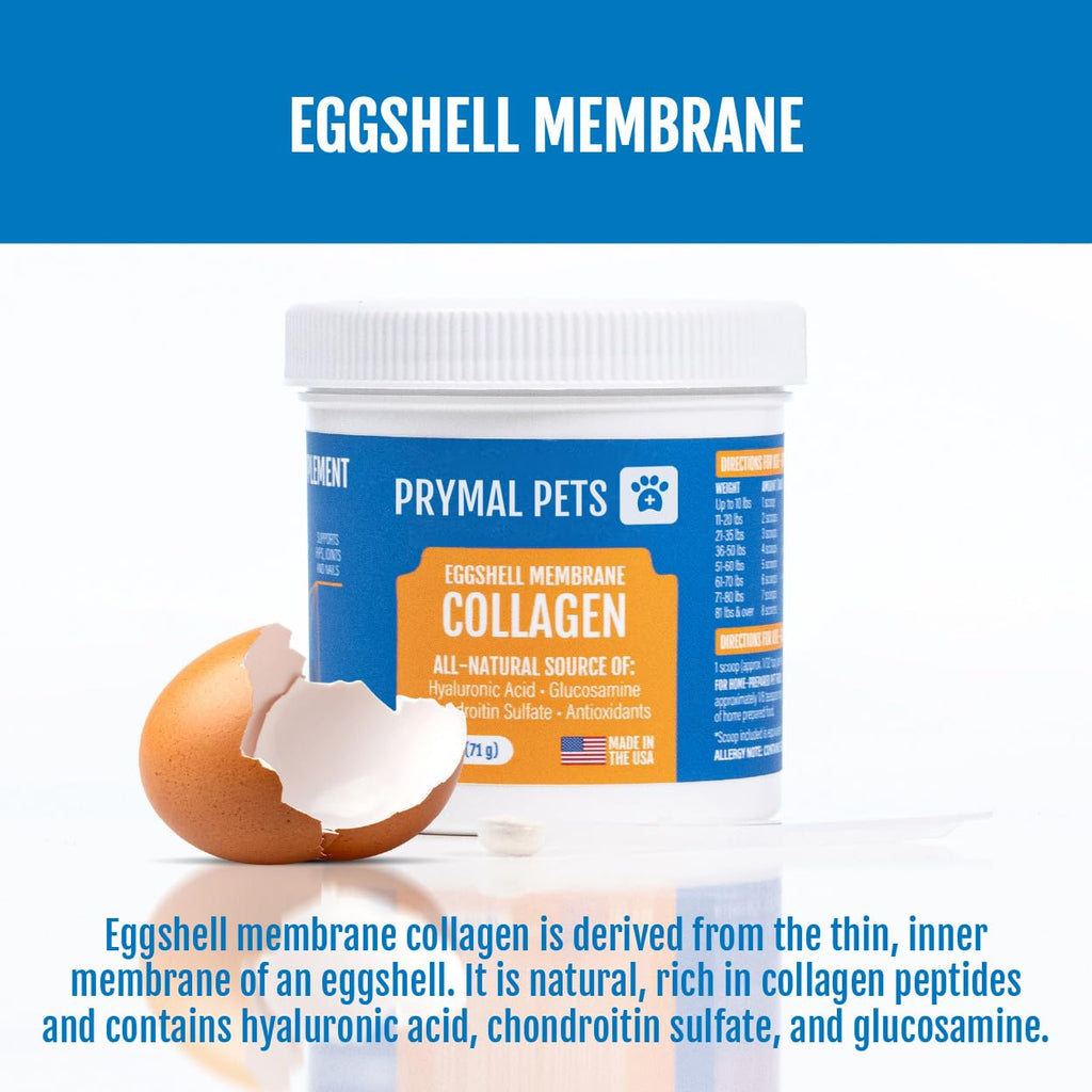 Eggshell Membrane Collagen Powder for Dogs A45557