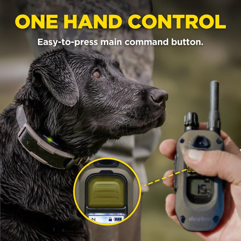 Waterproof Rechargeable Dog Training E-Collar A209