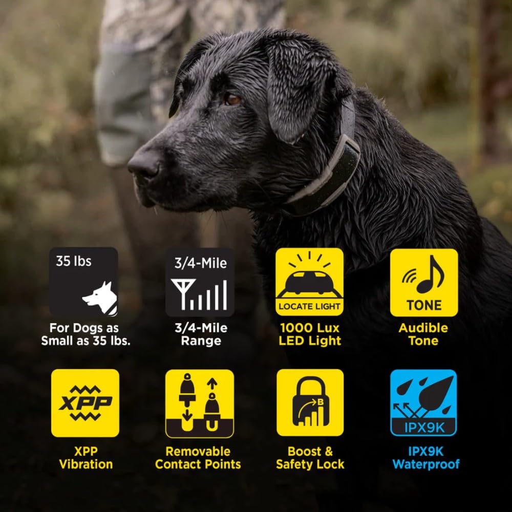 Waterproof Rechargeable Dog Training E-Collar A209