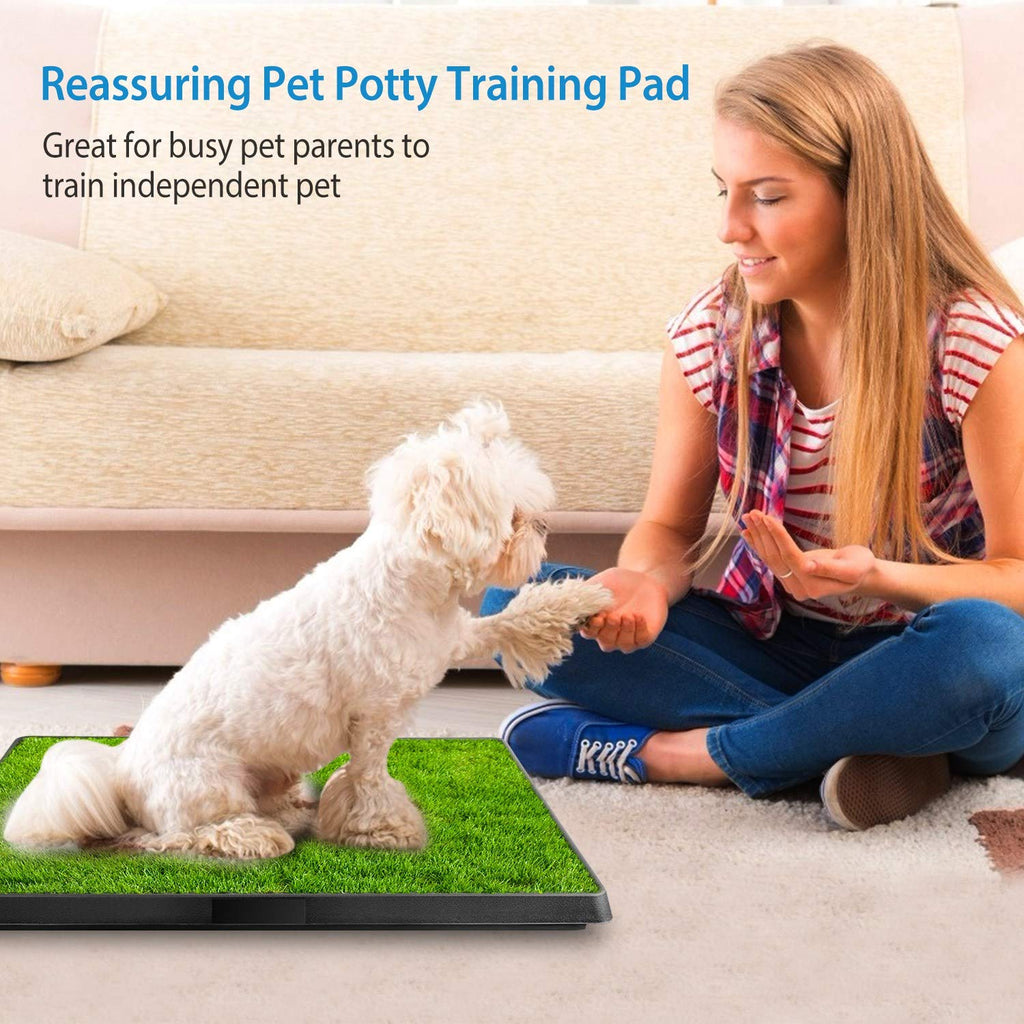 25"x20" Dog Grass Pee Pad with Tray I832450