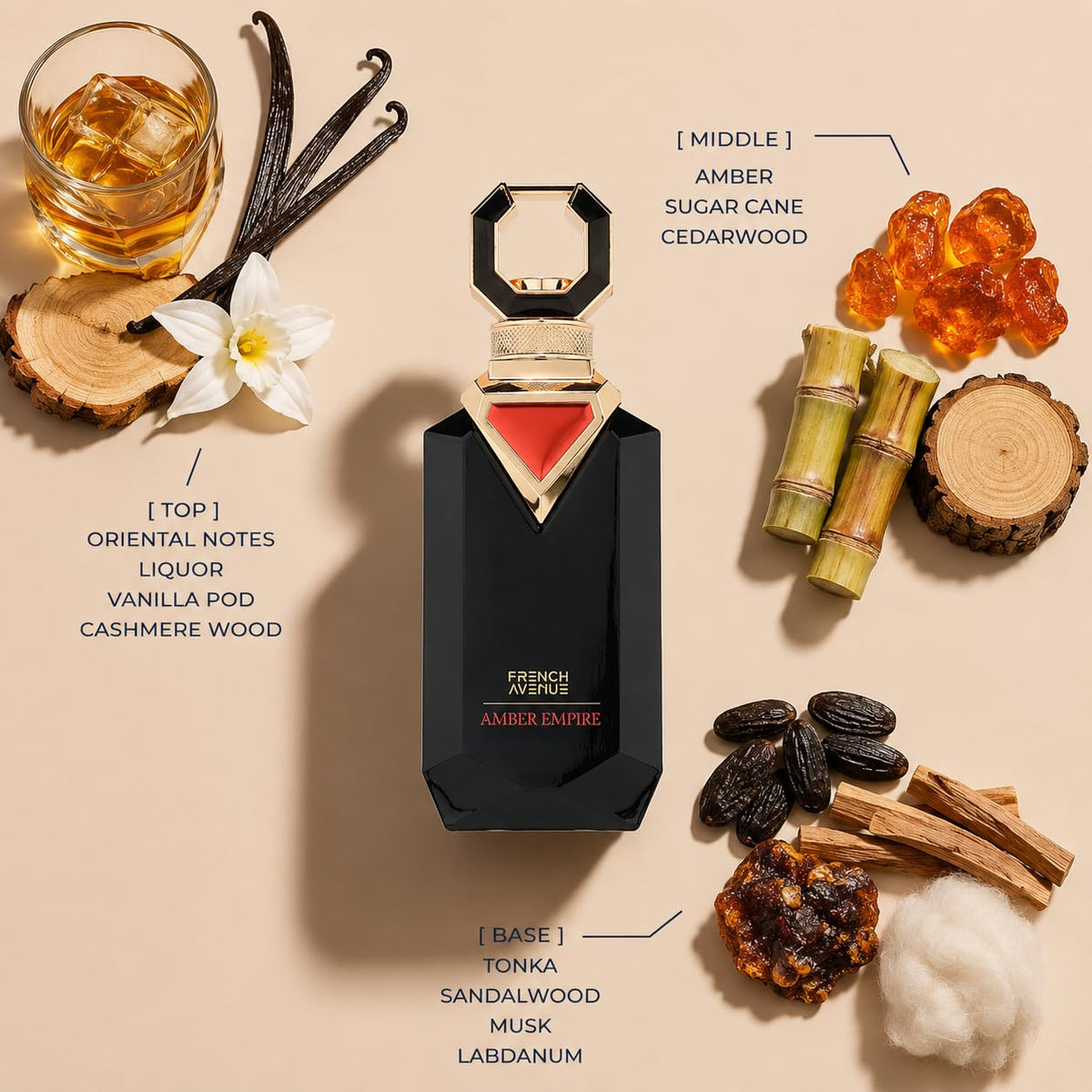 Amber EDP 100ml D41552