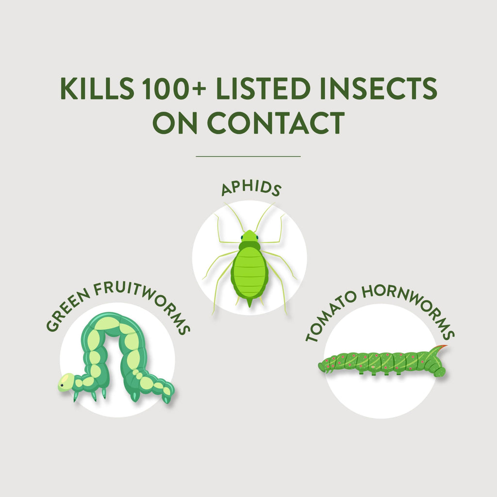 Multi-Purpose Garden Insect Killer 32Oz M15842