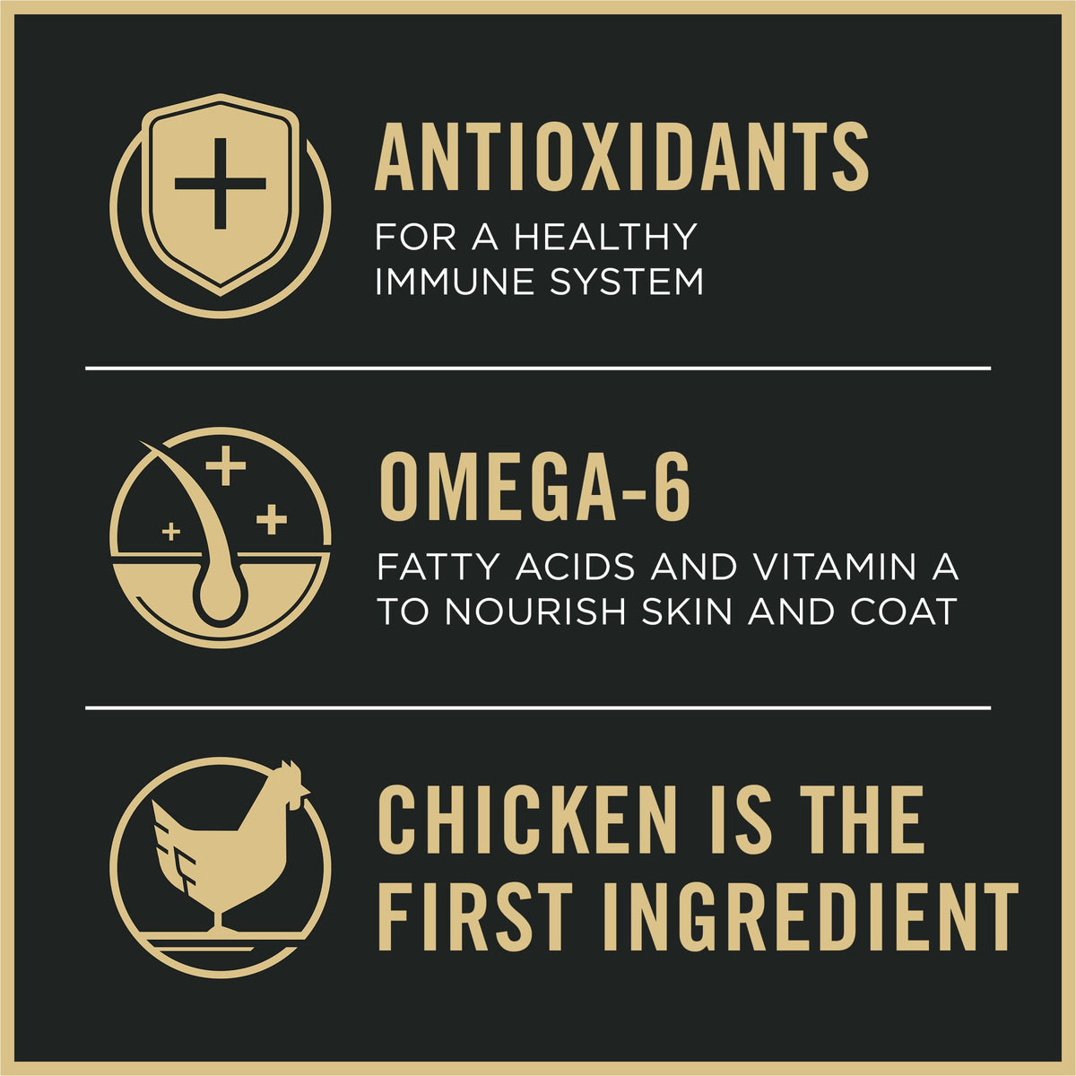 Weight Management Chicken & Rice Dry Dog Food P1468