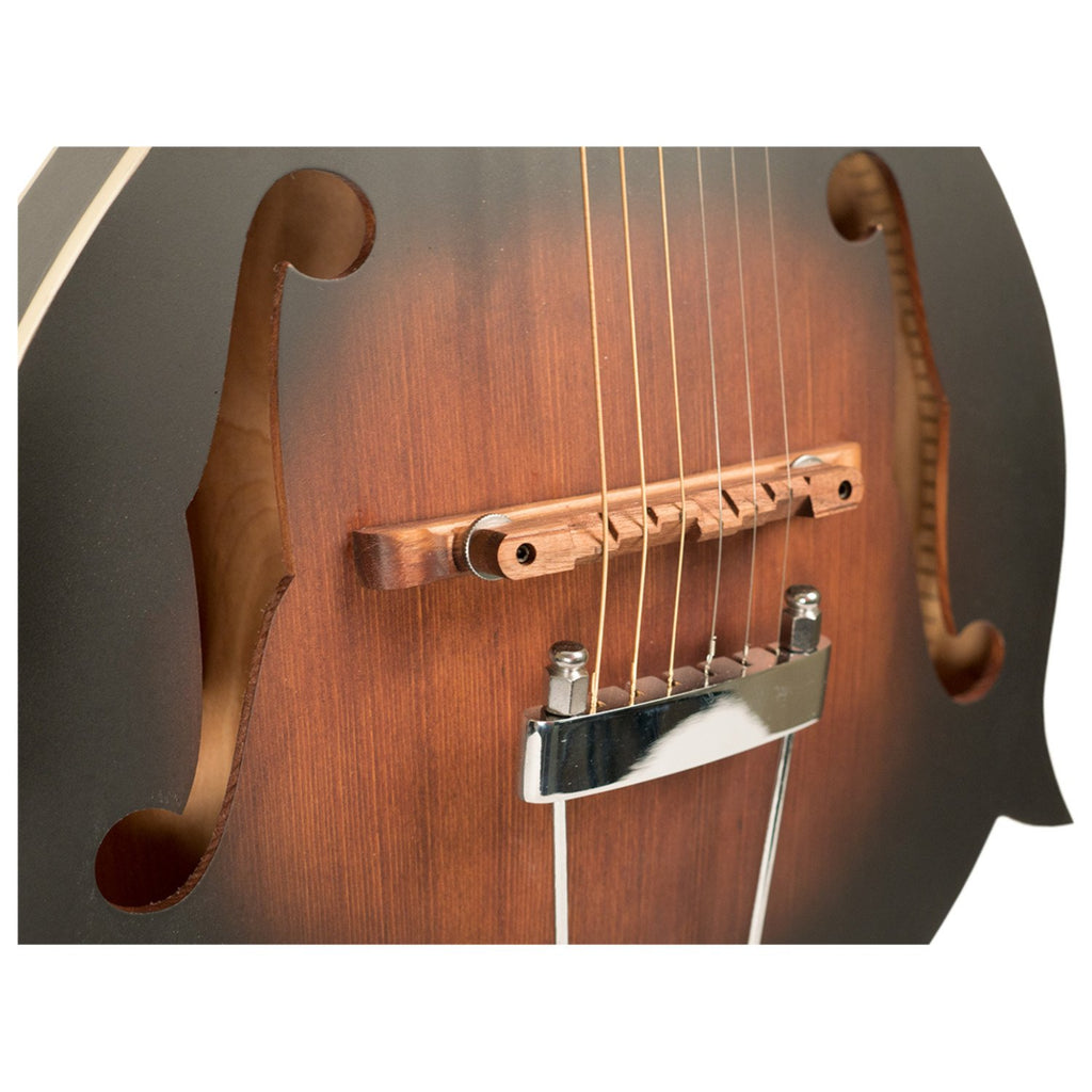 Cutaway Manditar with Case, Tuner, and Cable C495