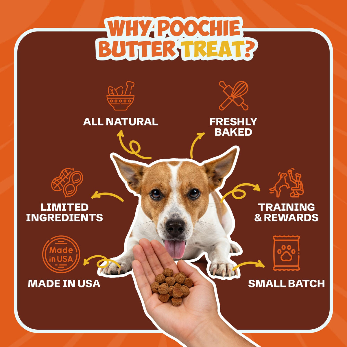 Soft & Chewy Pumpkin Dog Treats 8oz 2 Pack Q805565