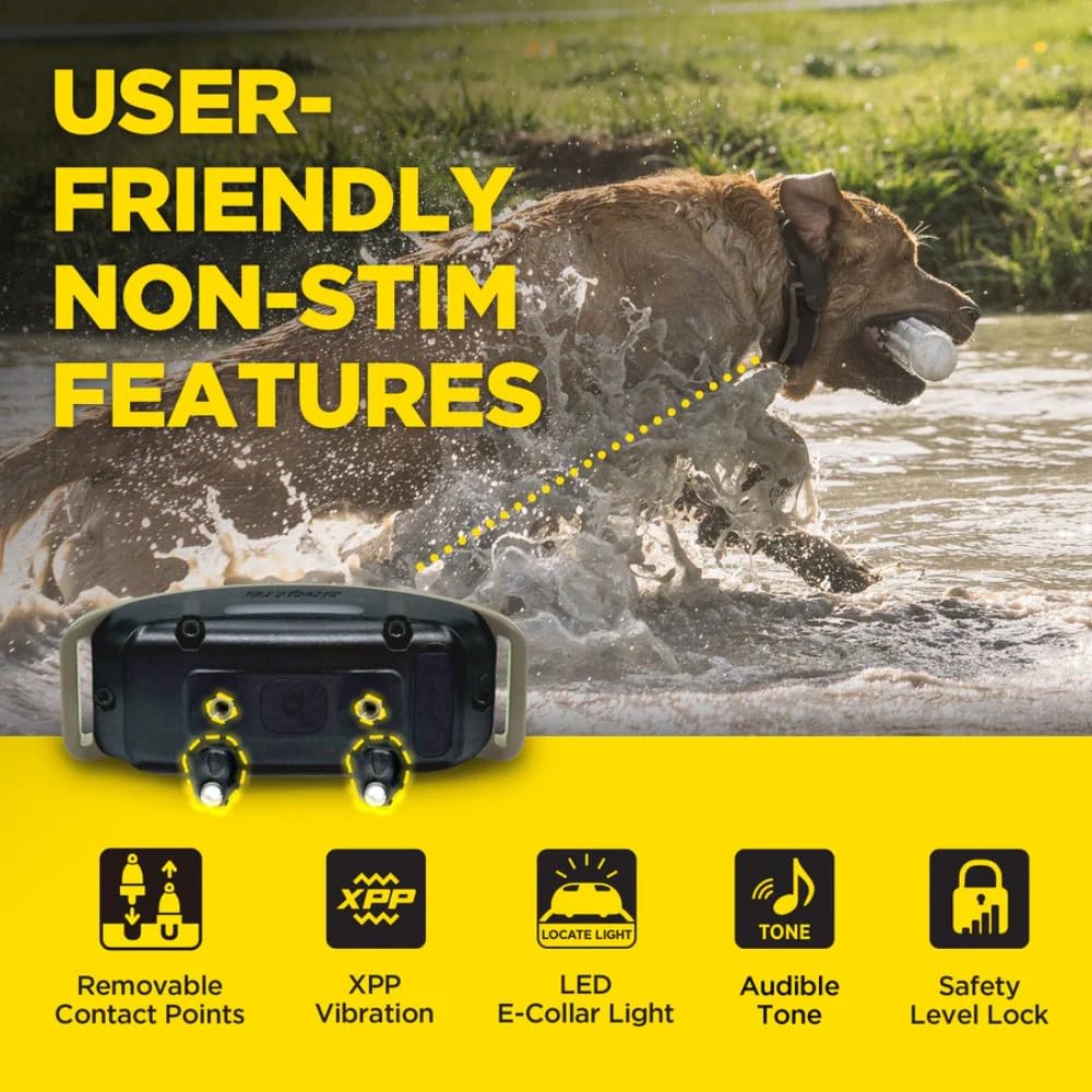 Waterproof Rechargeable Dog Training E-Collar A209