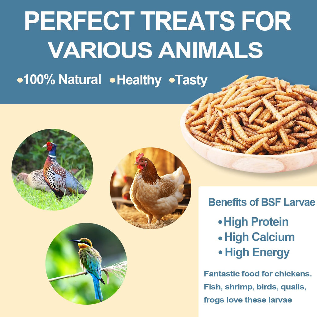 Black Soldier Fly Larvae Chicken Feed 20LB S1159