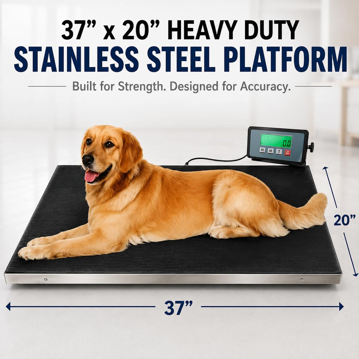 Heavy Duty 660 Pounds Veterinary Dog Scale with Stainless Steel Platform I8495
