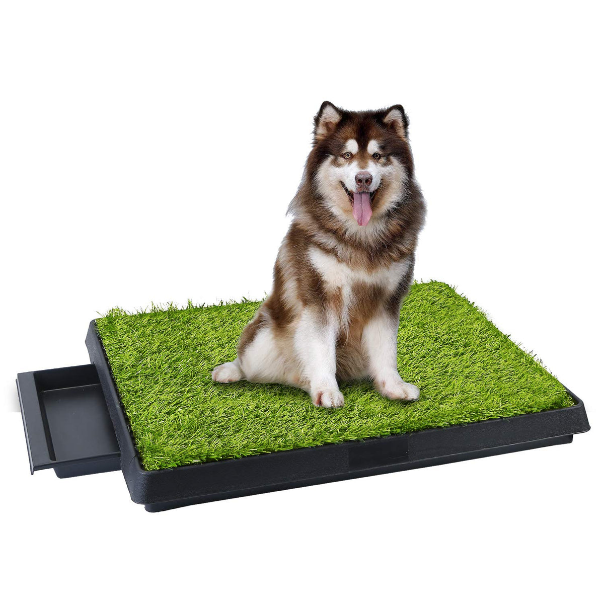 25"x20" Dog Grass Pee Pad with Tray I832450