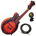Cutaway Manditar with Case, Tuner, and Cable C495