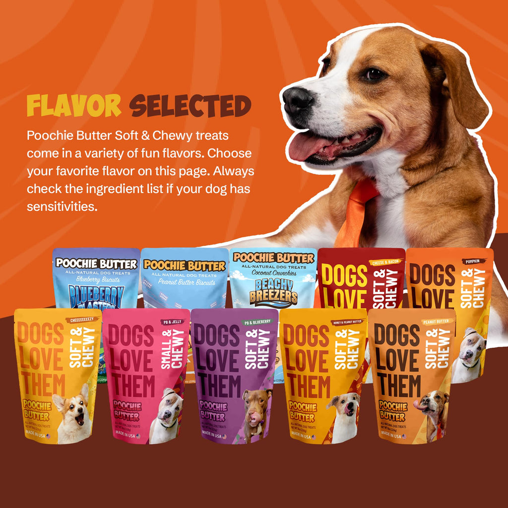Soft & Chewy Pumpkin Dog Treats 8oz 2 Pack Q805565