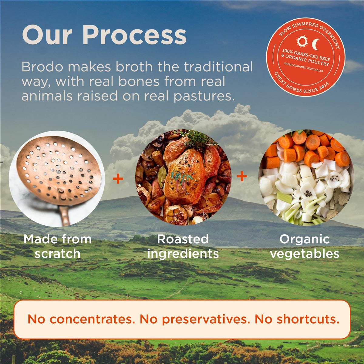 Bone Broth Variety Pack 8.3 oz G4906