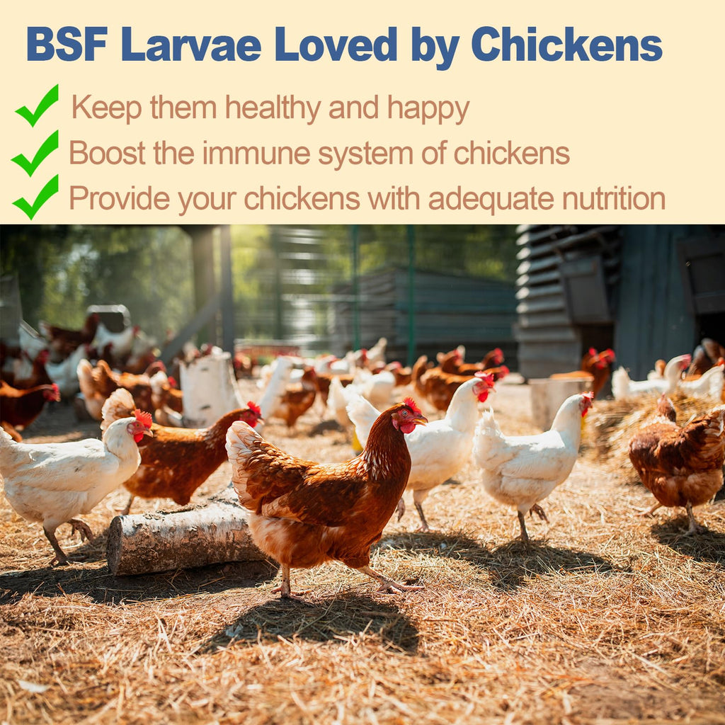 Black Soldier Fly Larvae Chicken Feed 20LB S1159