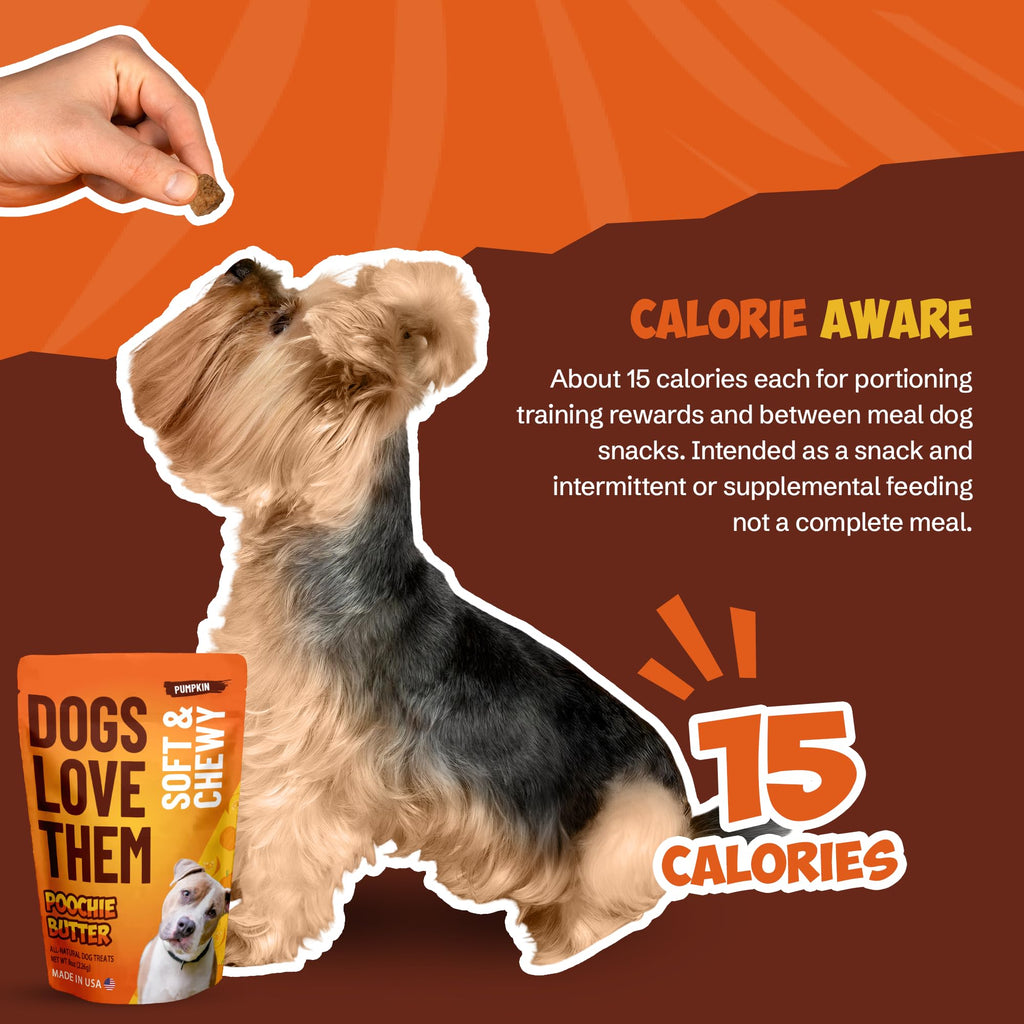 Soft & Chewy Pumpkin Dog Treats 8oz 2 Pack Q805565
