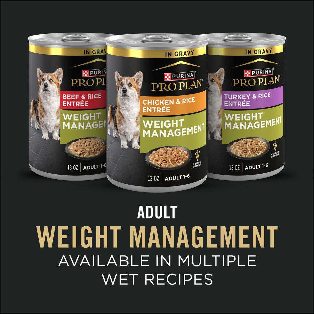 Weight Management Chicken & Rice Dry Dog Food P1468
