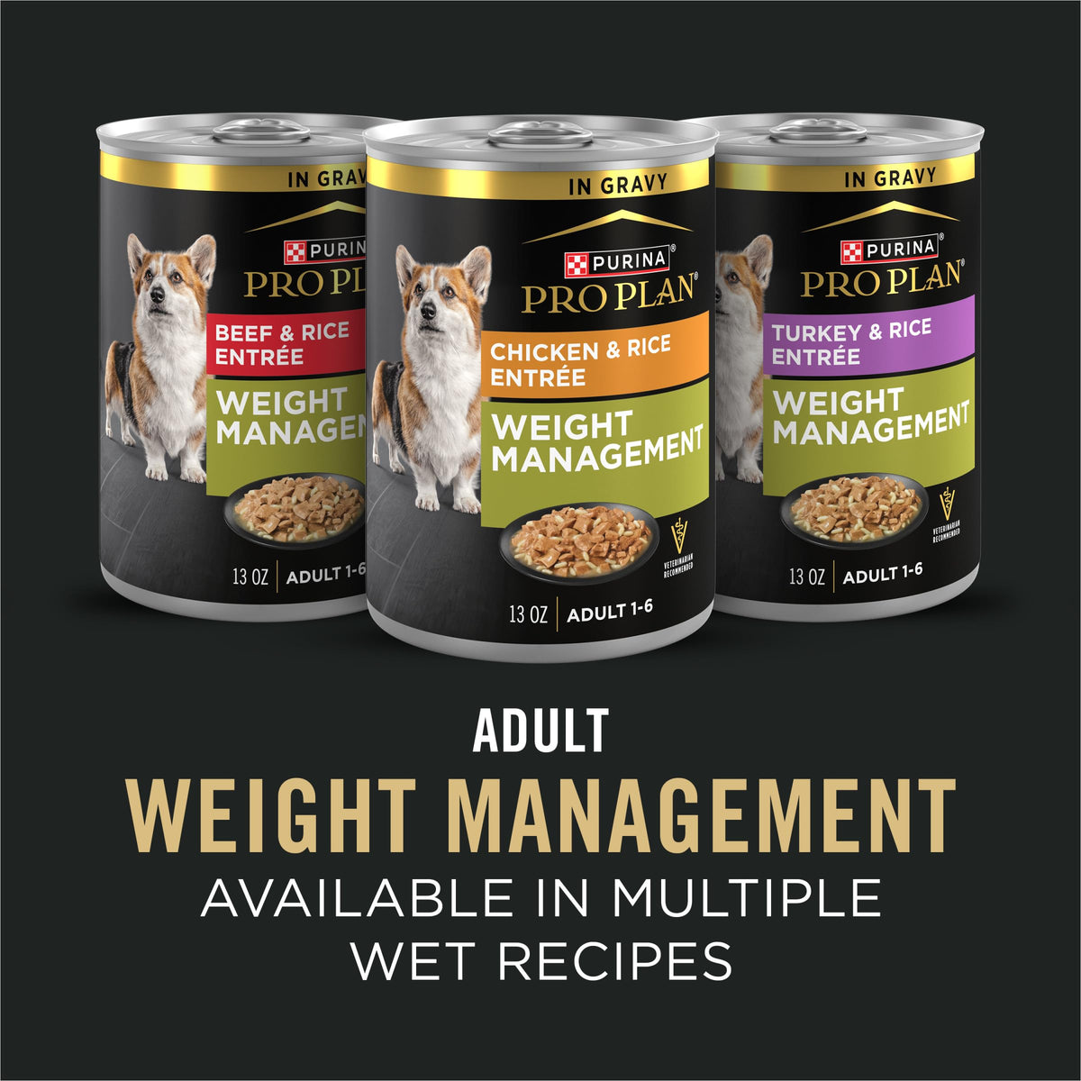 Weight Management Chicken & Rice Dry Dog Food P1468