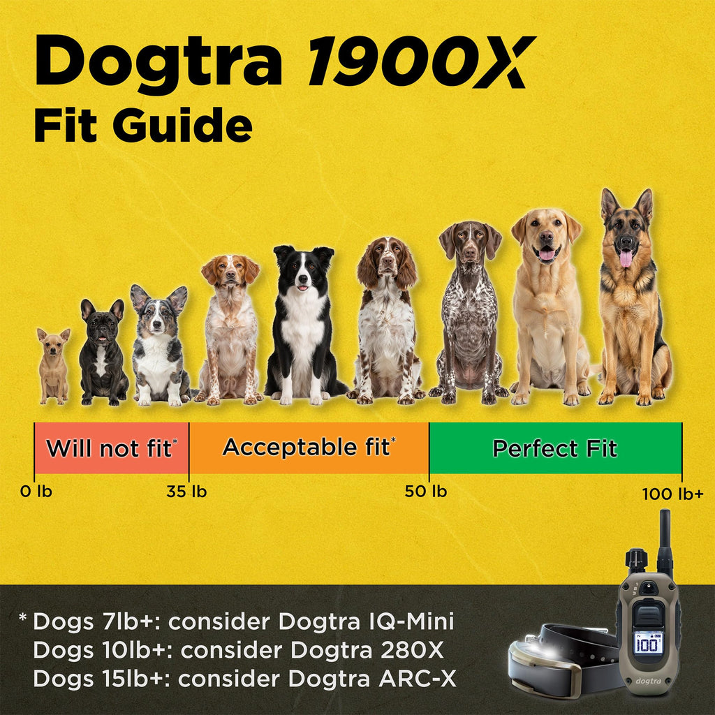 Waterproof Rechargeable Dog Training E-Collar A209