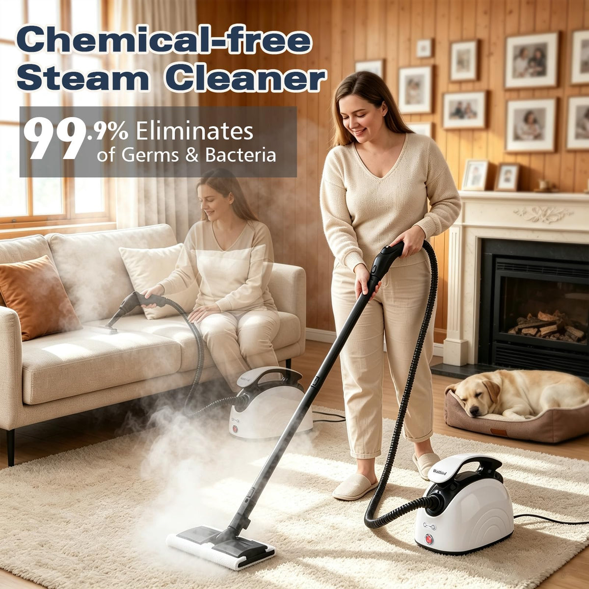 4.5 Bar 300°F Steam Cleaner H9408