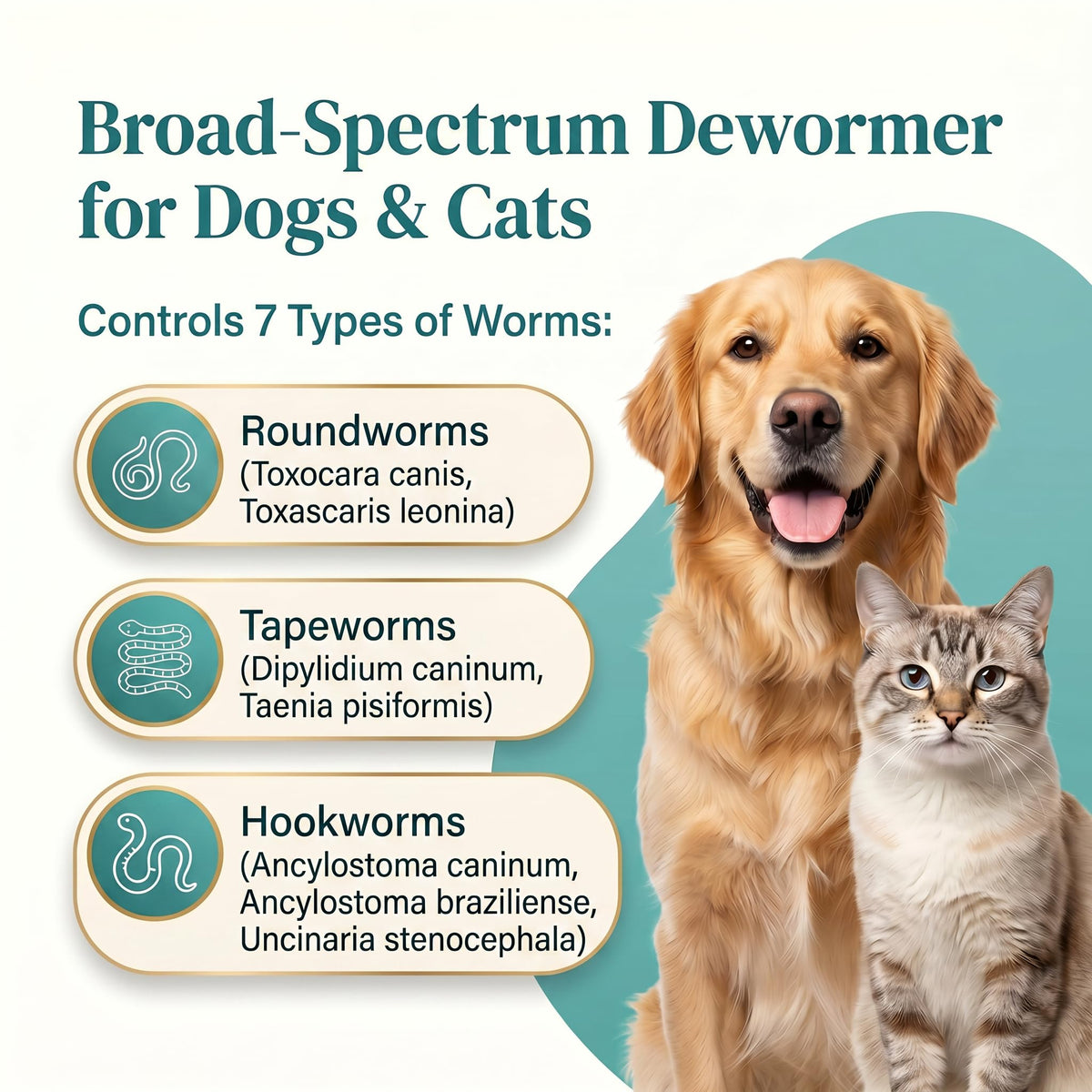 Pyrantel Pamoate and Praziquantel De-wormer Tablet for Dog & Cat 100 Tablets G828