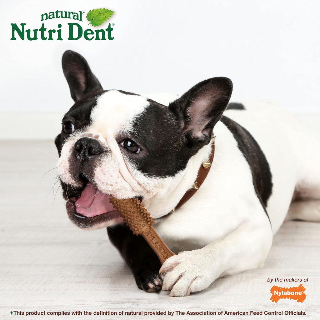 Filet Mignon Flavor Dog Dental Treats 40 Count S8582