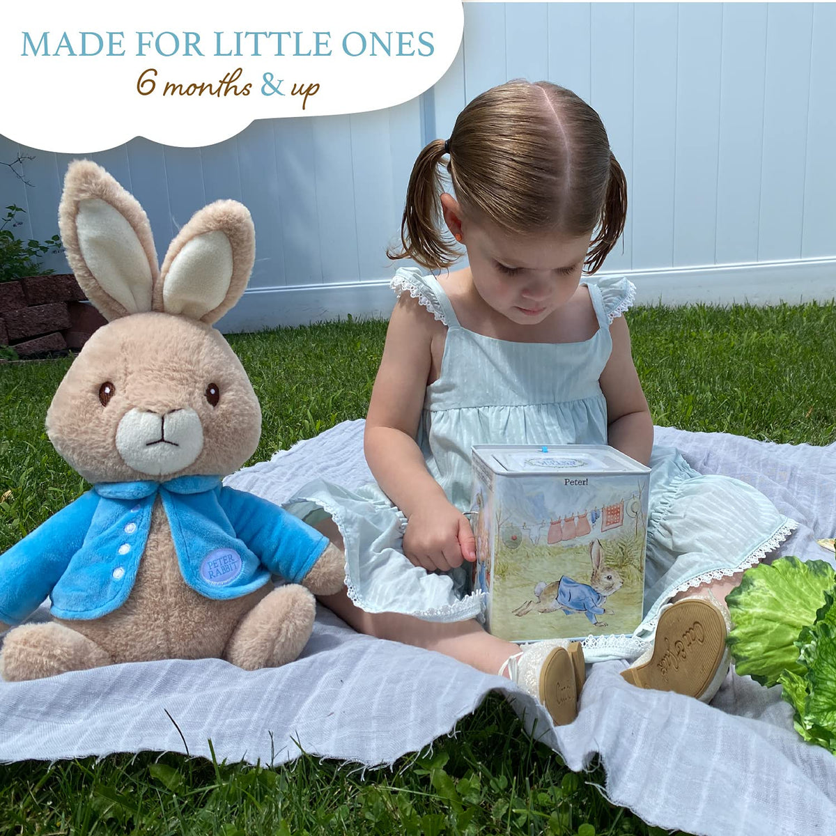 Peter Rabbit Jack-in-The-Box W140