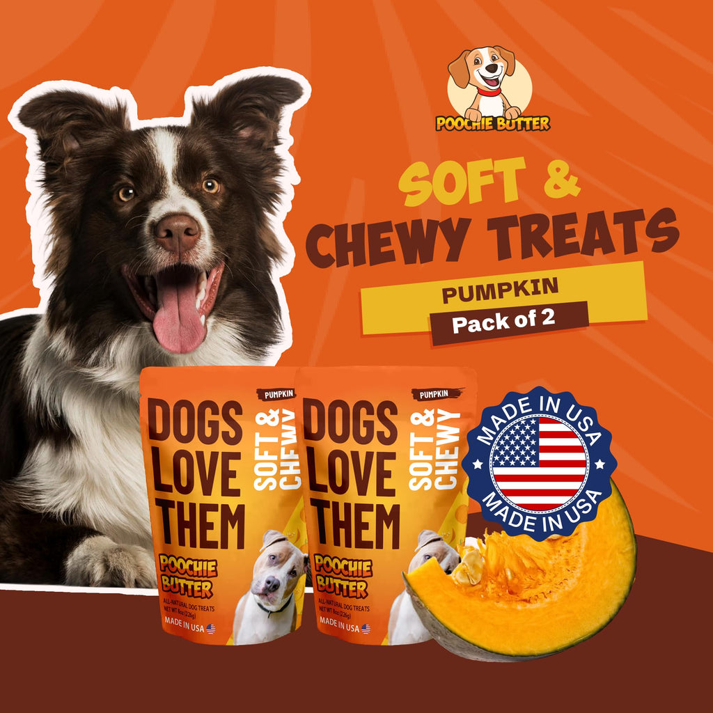 Soft & Chewy Pumpkin Dog Treats 8oz 2 Pack Q805565