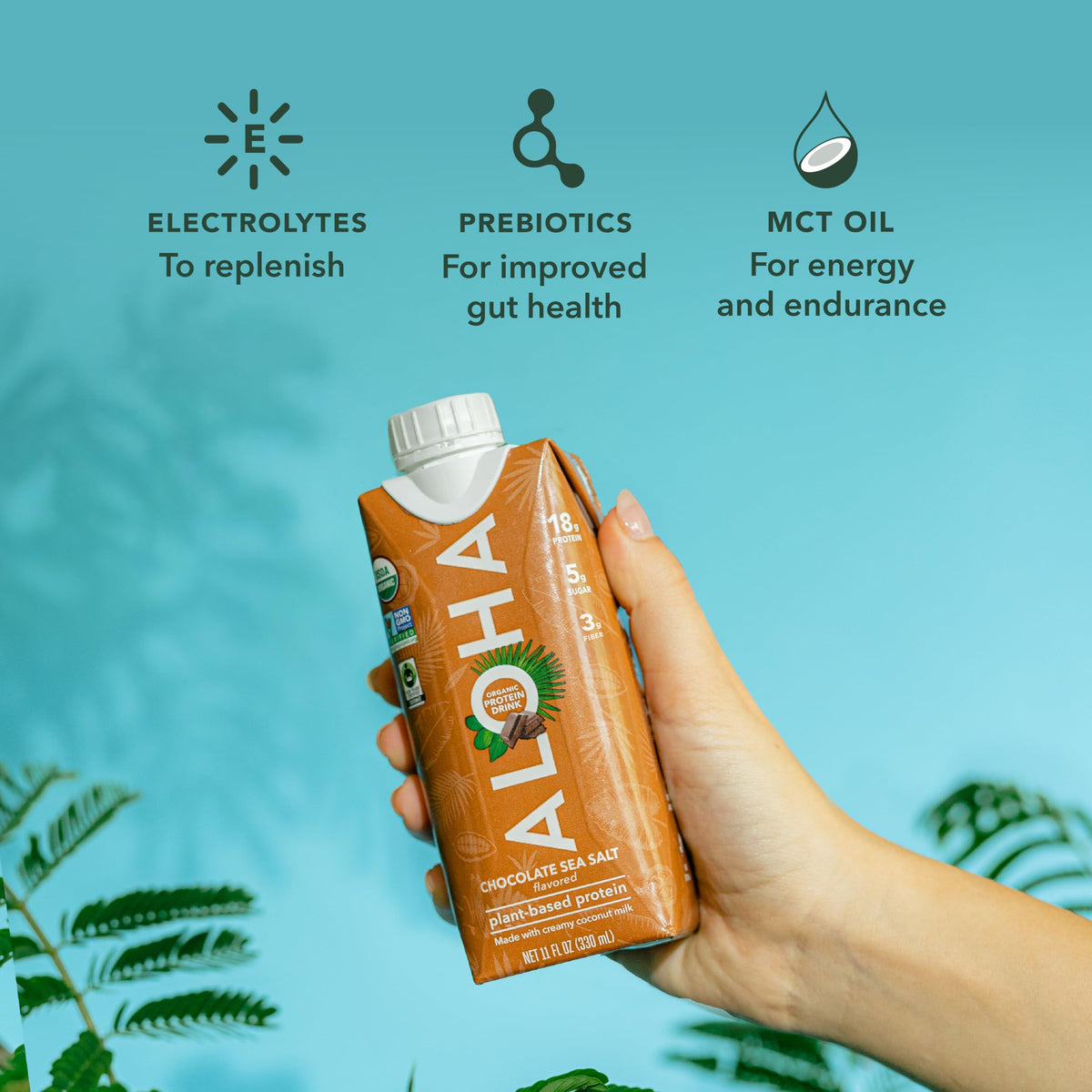 Chocolate Sea Salt Organic Plant Based Protein Drink D400