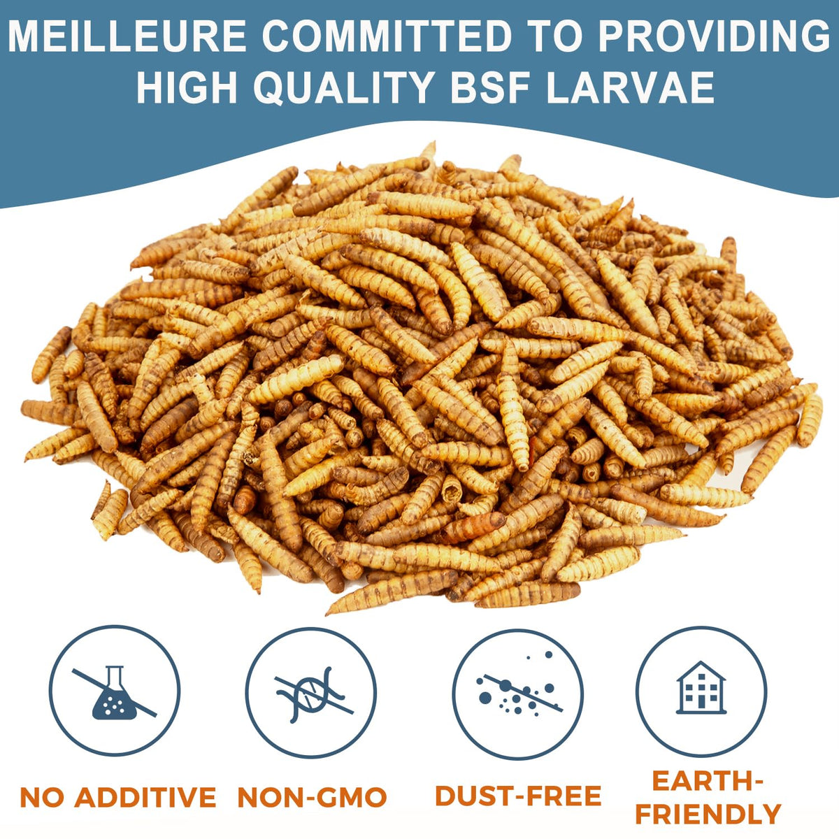 Black Soldier Fly Larvae Chicken Feed 20LB S1159