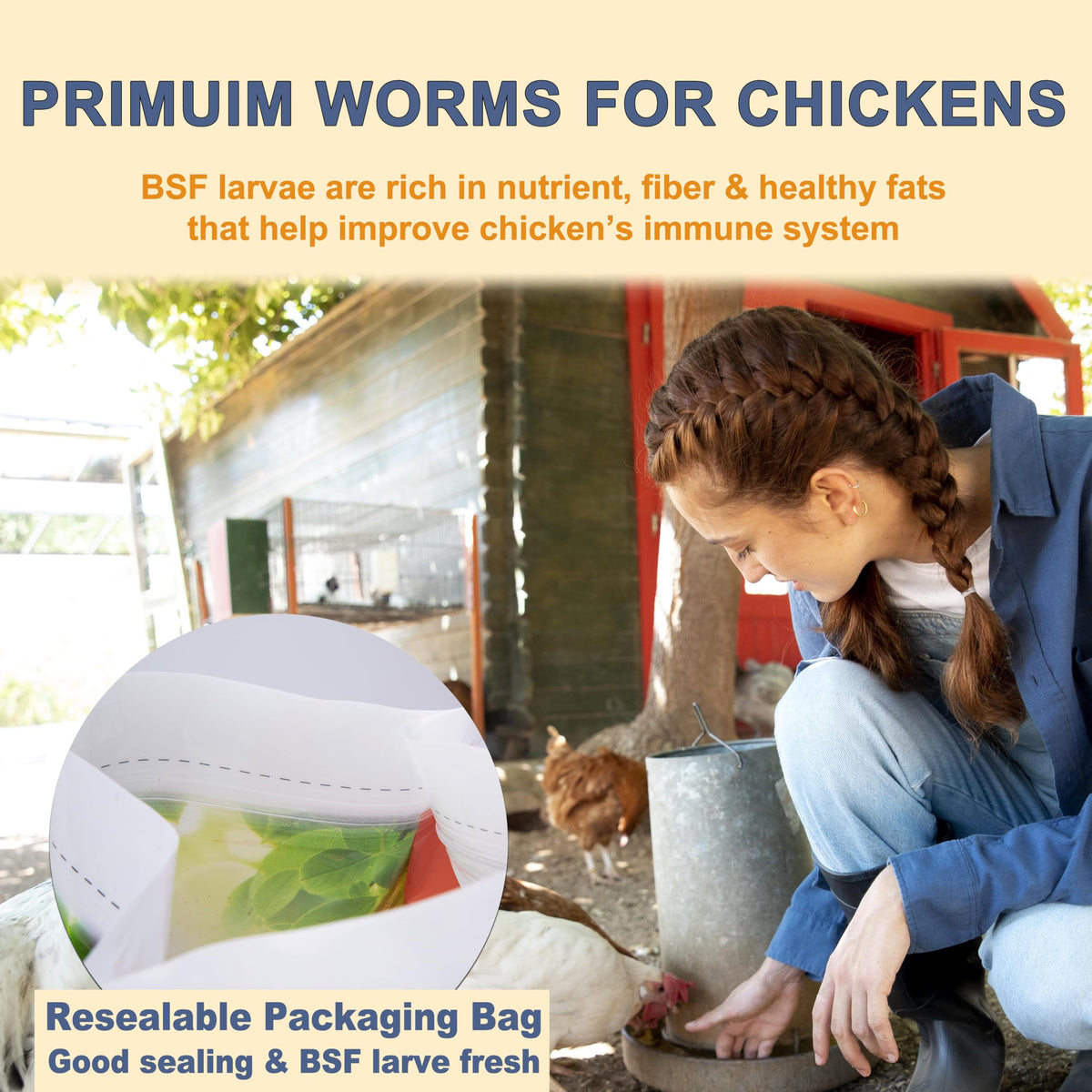 Black Soldier Fly Larvae Chicken Feed 20LB S1159