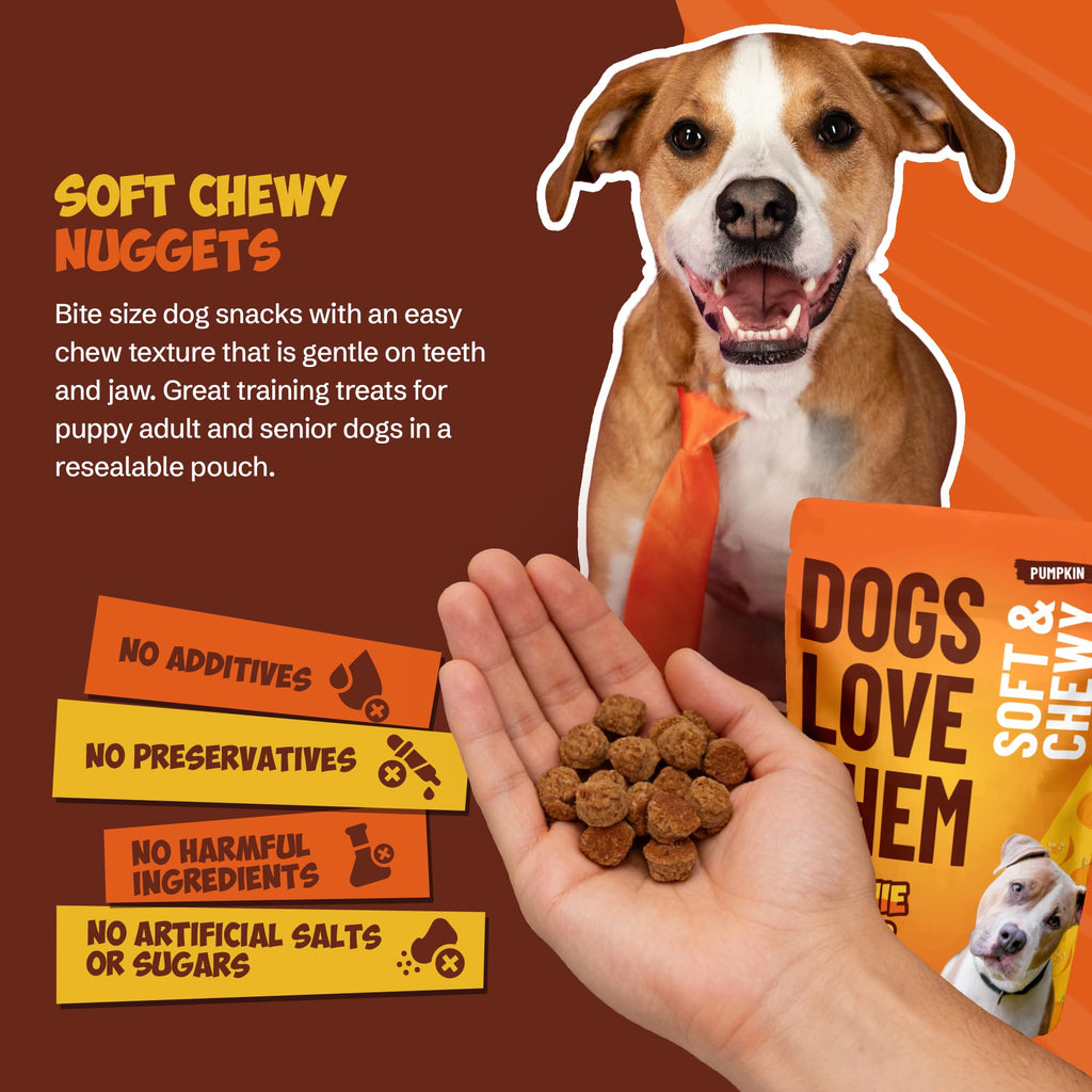 Soft & Chewy Pumpkin Dog Treats 8oz 2 Pack Q805565