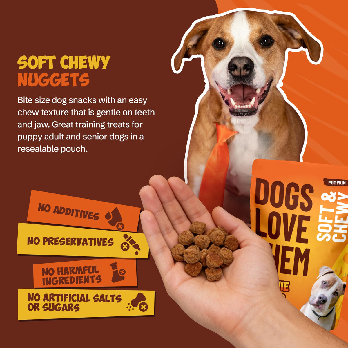 Soft & Chewy Pumpkin Dog Treats 8oz 2 Pack Q805565