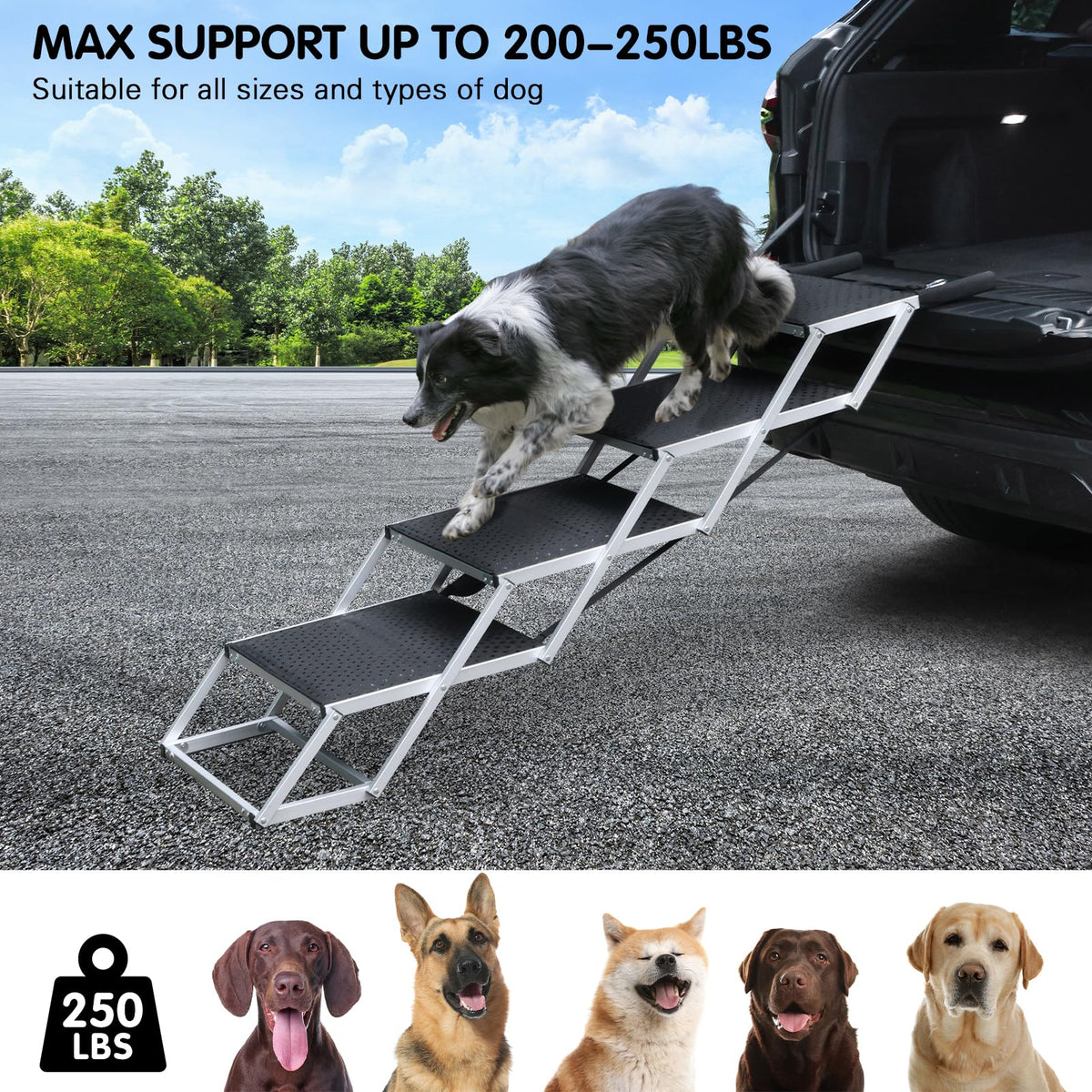 4-Step Non-Slip Pet Stairs R75104