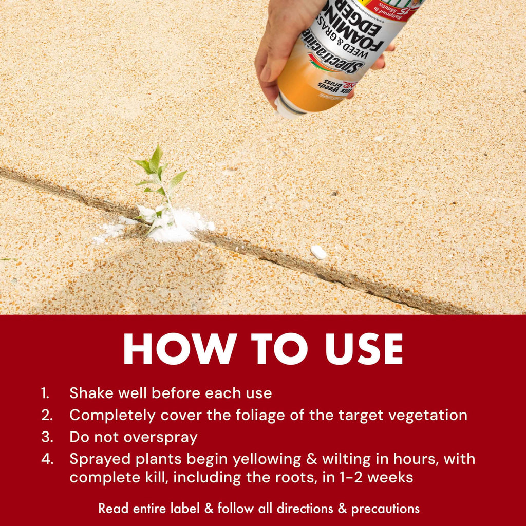 Weed & Grass Foaming Edger Aerosol 17 Oz X425