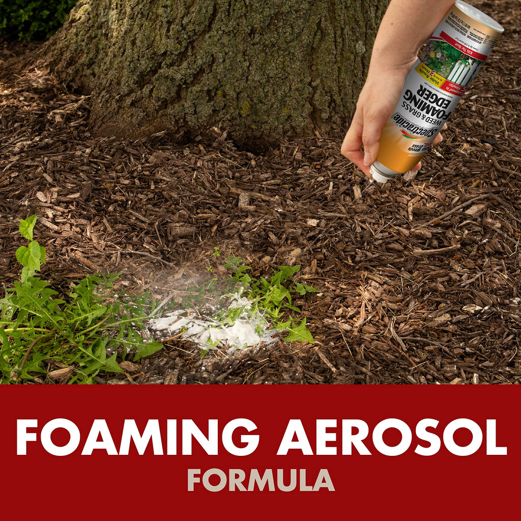 Weed & Grass Foaming Edger Aerosol 17 Oz X425